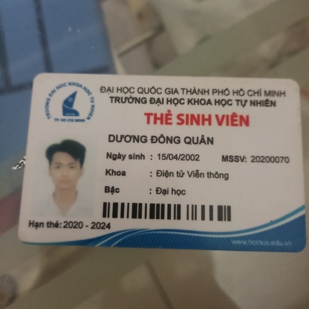 Đông Quân