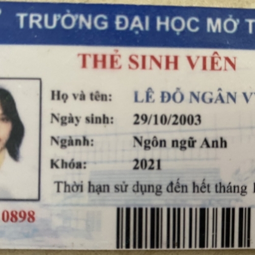 Lê Đỗ Ngân Vy