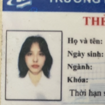 Lê Đỗ Ngân Vy