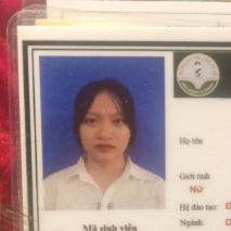 Việt Trinh 