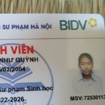 Như Quỳnh