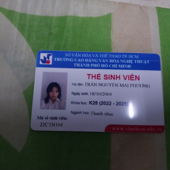 Trần Nguyễn Mai Phương