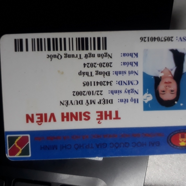 Diệp Mỹ Duyên