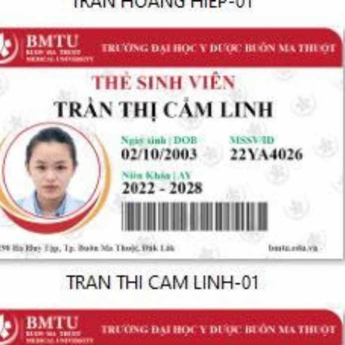 Trần Thị Cẩm Linh 