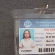 Dương Huỳnh Trâm Anh