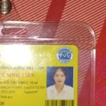 Trúc Mai