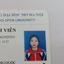 Vi Thùy Trang