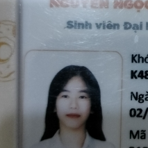 Nguyễn Ngọc Như Quỳnh 