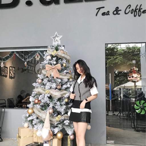 Nguyễn Ngọc Anh  Thư