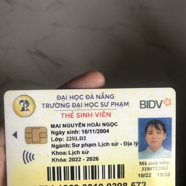 Mai Nguyễn Hoài Ngọc