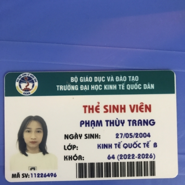 Phạm Thuỳ Trang