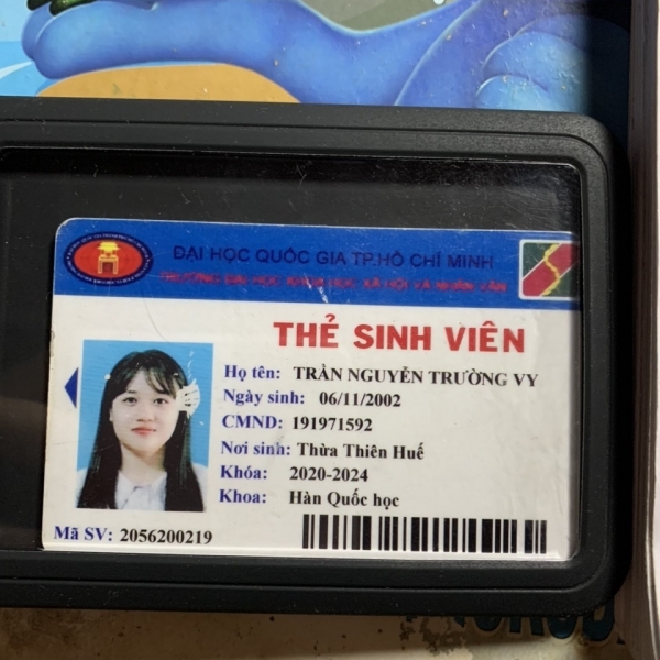 Trần Nguyễn Trường Vy