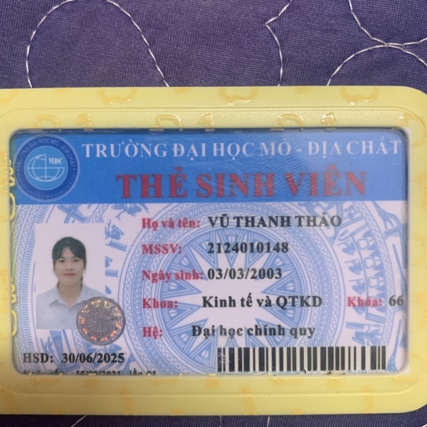 Vũ Thanh Thảo