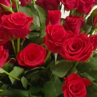 Đinh Thị Ngọc Khánh