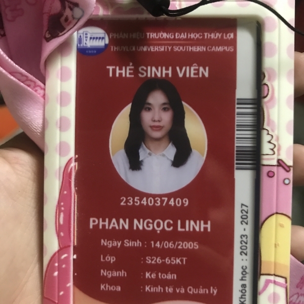Phan Ngọc inh