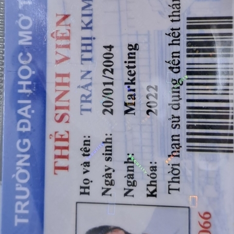 Trần Thị Kim Phụng