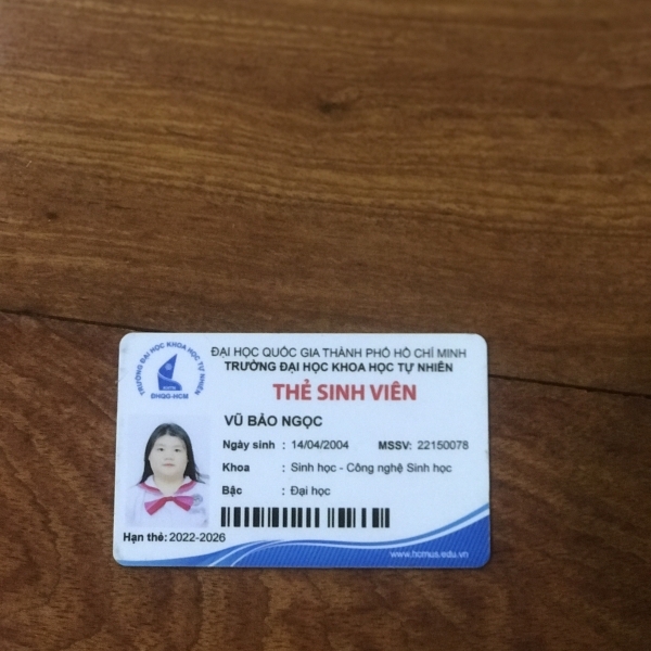 Vũ Bảo Ngọc