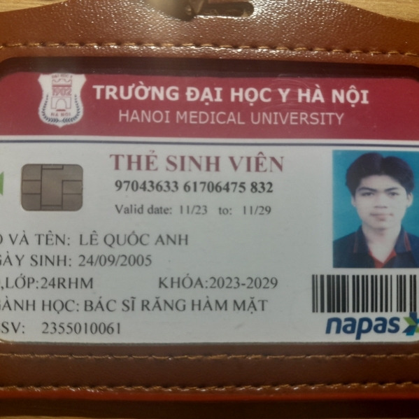 Lê Quốc Anh 