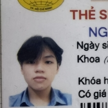 Nguyễn Lê Việt Hoàng