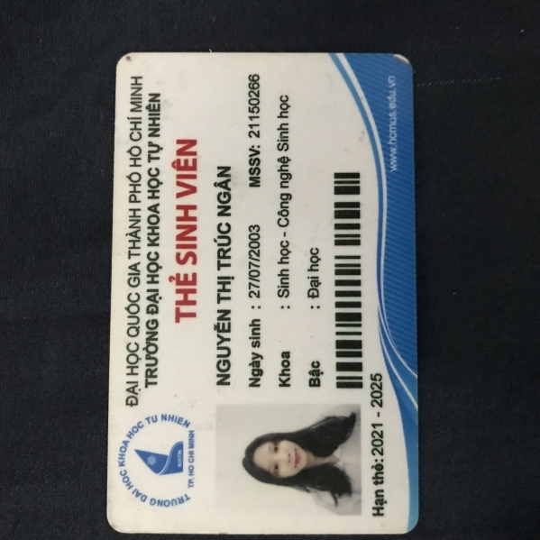 Nguyễn Thị Trúc Ngân