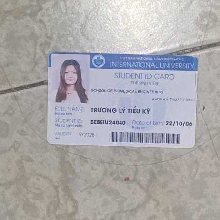 Trương Lý Tiểu Kỳ