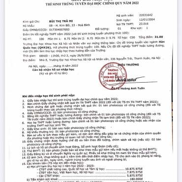 Bùi Thị Trà Mi