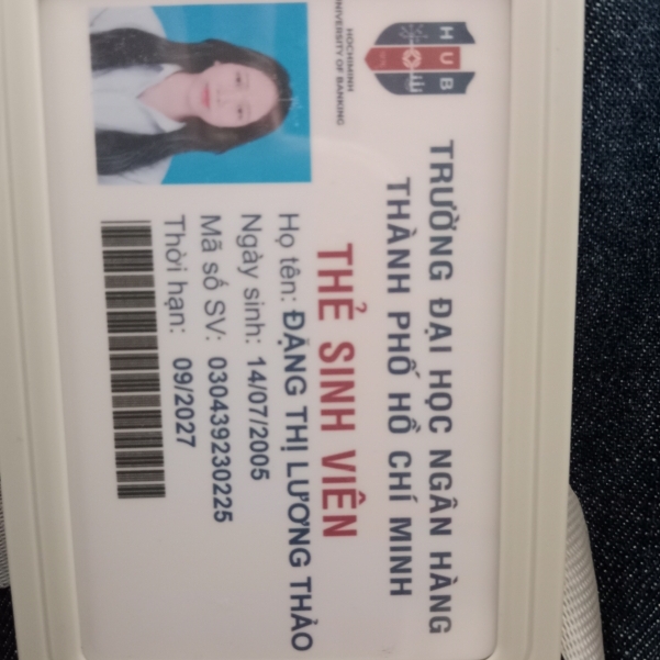 Đặng Lương Thảo