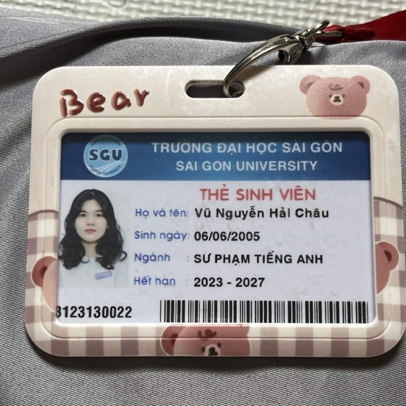 Vũ Nguyễn Hải Châu