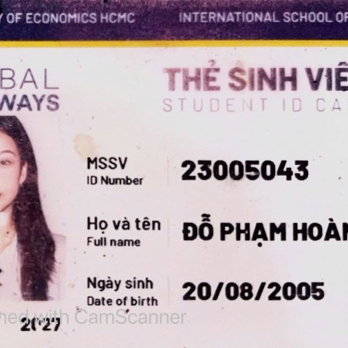 Đỗ Phạm Hoàng Anh