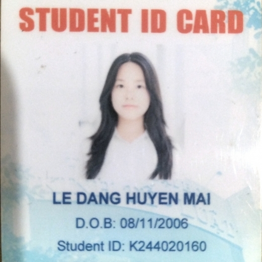 Lê Đặng Huyền Mai