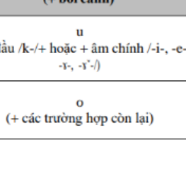 Lê Thị Thảo Chi