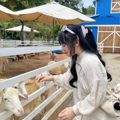 TRẦN NGUYỄN TIỂU MY