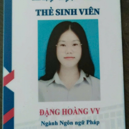 Đặng Hoàng Vy
