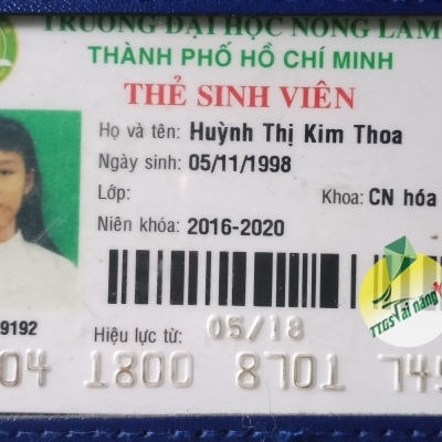 Kim Thoa