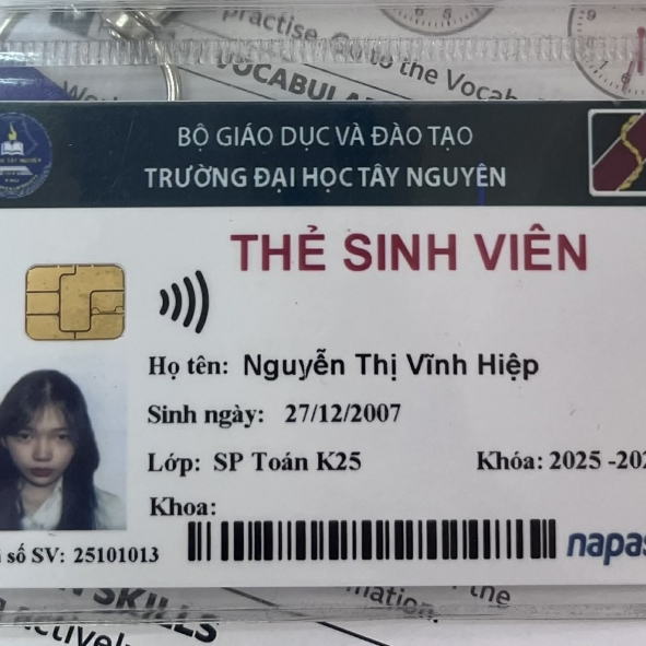 Vinh Hiep