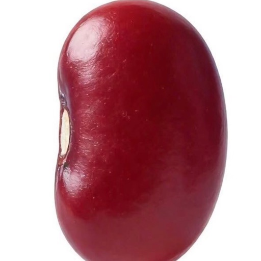 Hoàng Thị Yến Nhi