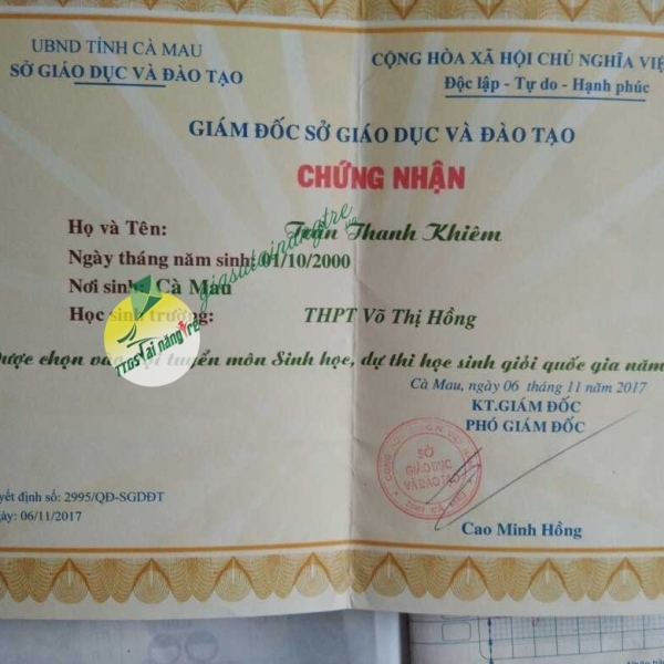 Gia sư 6817