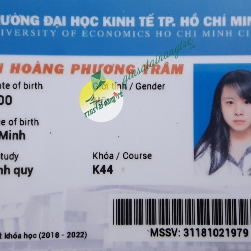Nguyễn Hoàng Phương Trâm