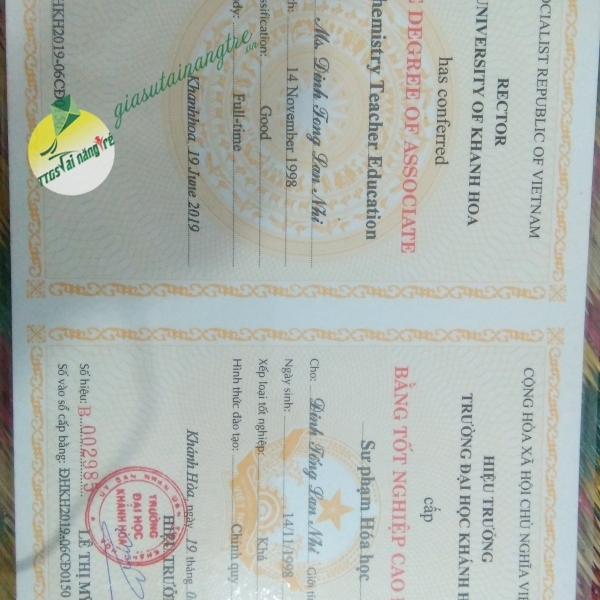 Đinh Tống Lan Nhi