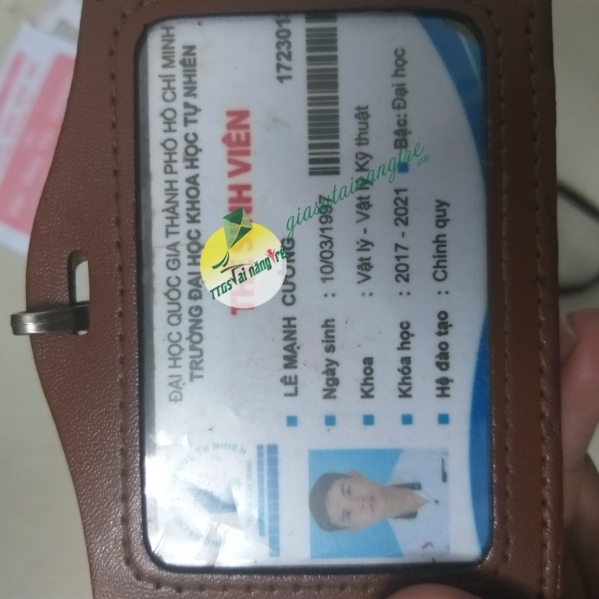 Lê Mạnh Cường