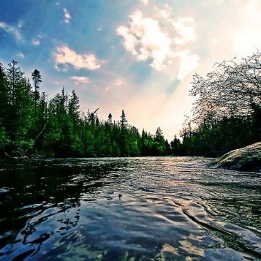 Lê Nguyễn Minh Thùy