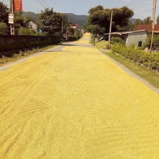 Hà Thị Thu Phương