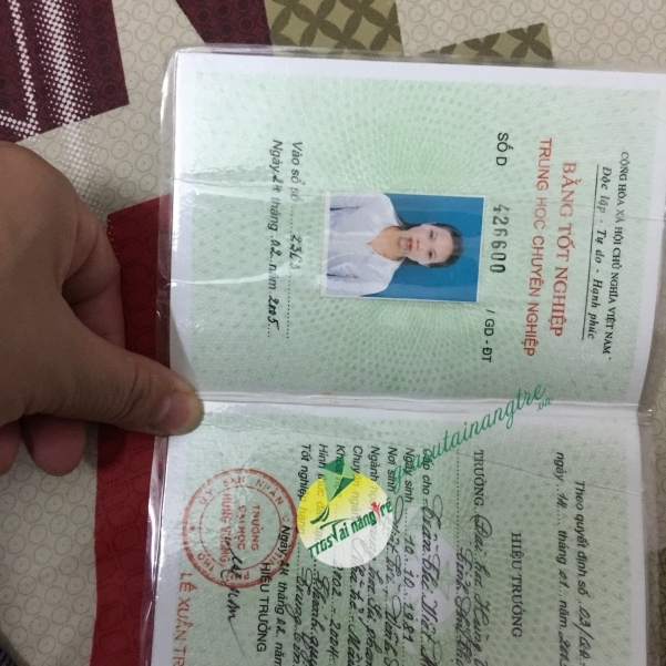 Trần Thị Việt Hà